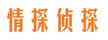 西华情探私家侦探公司